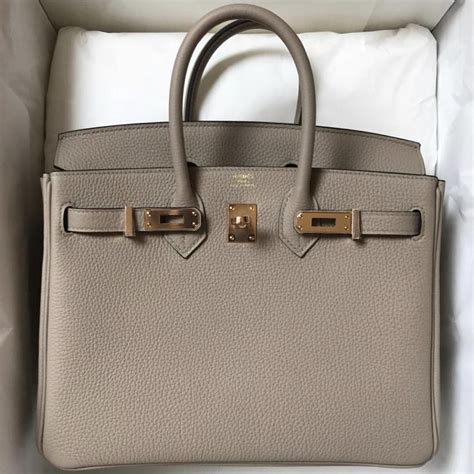 Hermes Birkin 25 Bag Insert | Literacy Basics