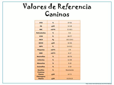 Atlas Hematolog A Veterinaria Ppt