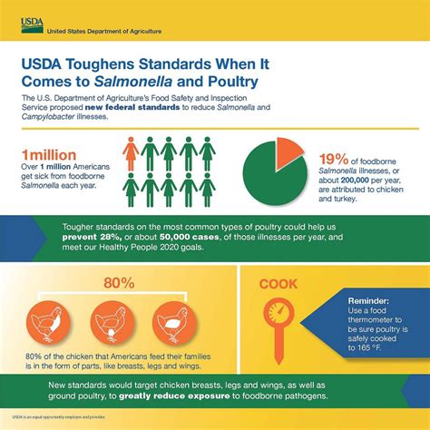 Usda Salmonella Infographic Food Safety Standards Food Safety Usda