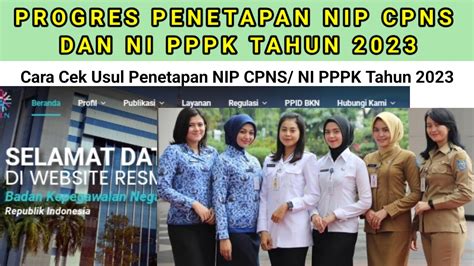 Progres Penetapan Usul NIP CPNS Dan NI PPPK Tahun 2023 YouTube