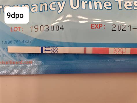 DPO BFN Success Stories: Is It Still Possible To Be Pregnant? 5