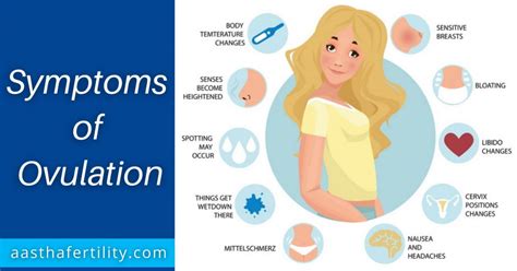 Ovulation Symptoms What They Are What They Mean