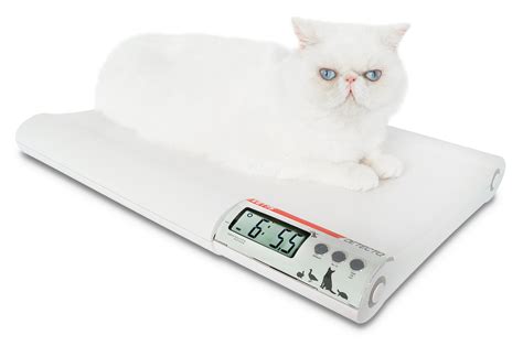 Detecto | VET75-Small-Size-Animal-Veterinary-Scale