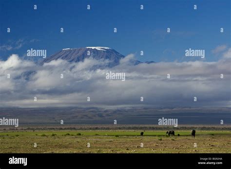 Mount Kilimanjaro, Tanzania, viewed from Amboseli National Park, Kenya ...