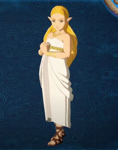 Botwaoc Zelda Ceremonial Robes Super Smash Bros Ultimate Requests