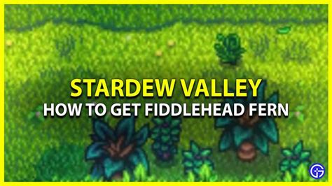 How To Get Fiddlehead Fern In Stardew Valley - Gamer Tweak
