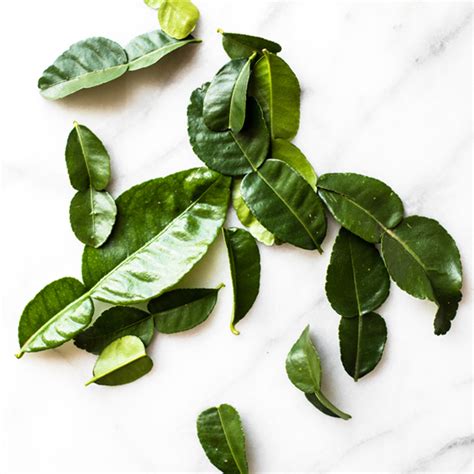 Kaffir Lime Leaves