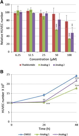 Effect Of Thalidomide And Its Dithiocarbamate Analogs On Huvec