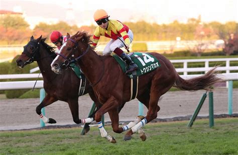 【京阪杯】トウシンマカオ 会心の差し切り 鮫島駿「自信あった」― スポニチ Sponichi Annex ギャンブル