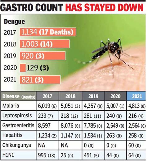 Dengue Over Six Fold Rise In Mumbais Dengue Cases From Last Year