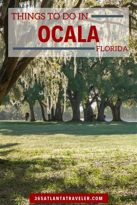 14 Amazing Things To Do In Ocala You Cant Miss