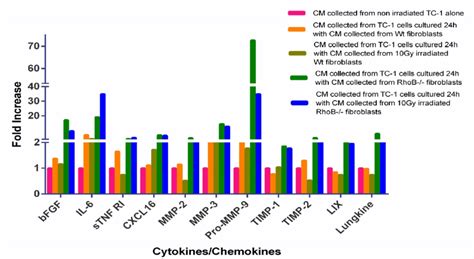 A: Cytokine Array Analysis performed on TC-1 cell lysate to search for ...