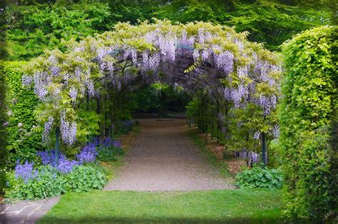 Wisteria Arch By Seanw789 Garden Paths Garden Planning Garden Trellis