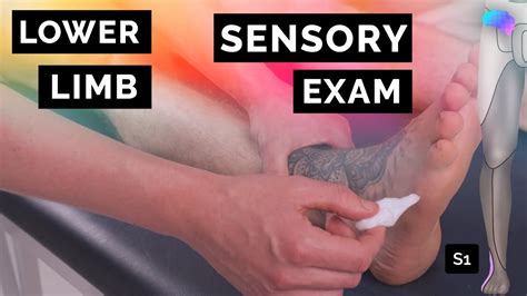 Sensory Assessment Of The Lower Limbs Osce Clip Ukmla Cpsa Youtube