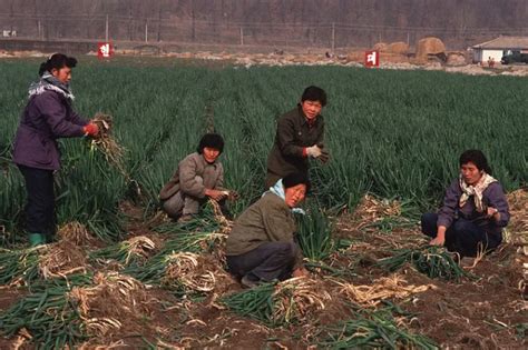 Rare Photos Of Life In North Korea You Probably Havent Seen Before