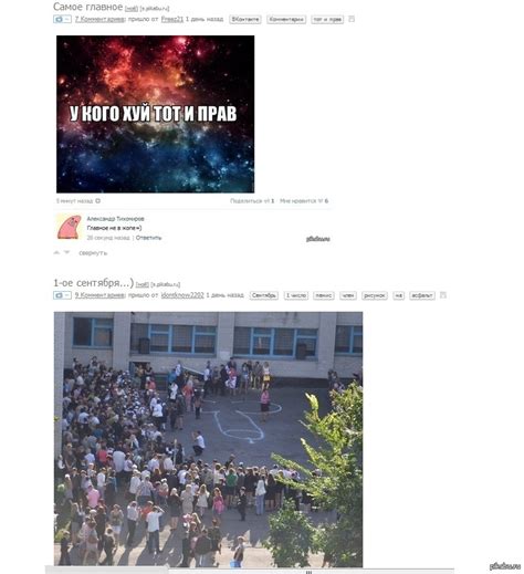 Школота права... | Пикабу