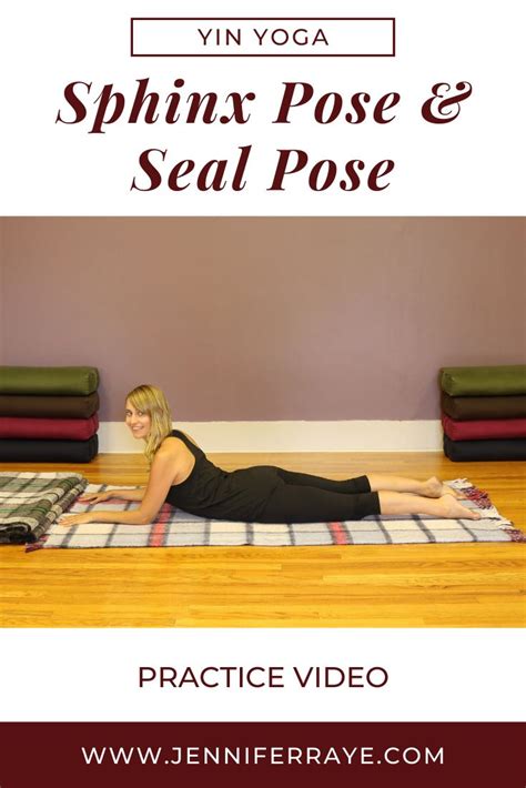 Yin Yoga Sphinx Pose And Yin Yoga Seal Pose With Modifications