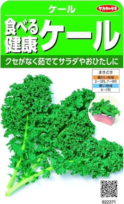 Amazon サカタのタネ 実咲野菜2371 食べる健康ケール 野菜