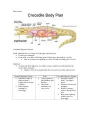 Crocodile Digestive System.doc - Rhea Verma Complete Digestive System ...