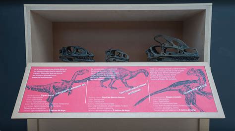 Tesoros F Siles Y Minerales De M Xico Universum Museo De Las