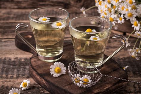 Chamomile Tea With Anise Benefits Side Effects And Recipe Chinese