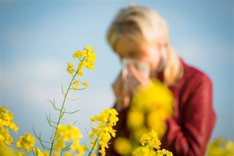 La Meuse En Alerte Sanitaire Lev En Raison Du Risque Dallergies