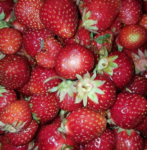Обалденная клубничка #вкуснячос #клубника #лето #фрукты #ягоды