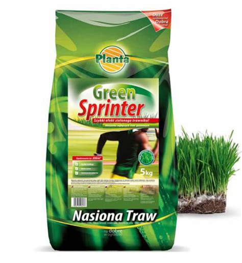 Trawa SZYBKI EFEKT ZIELONEGO TRAWNIKA Green Sprinter 5kg PLANTA