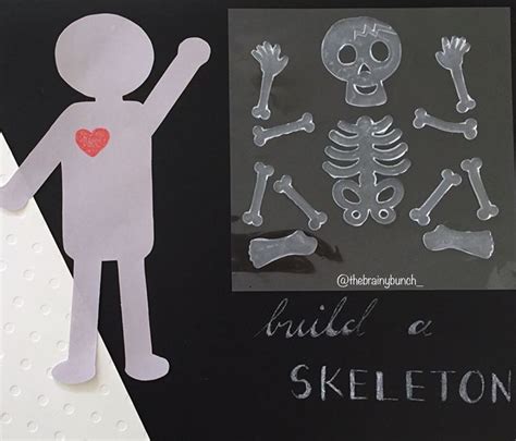 Use Halloween Gel Clings To Build The Skeletal System Ig