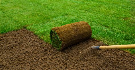 How Much is Artificial Lawn Installation?