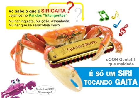 O Que Significa Sirigaita - Você sabe o que é SIRIGAITA?