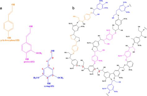 Structure Of Lignin A Basic Structural Units Of Lignin B Structure Of