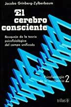 Mejores Libros De Neurociencia Cognitiva Procesos Cognitivos