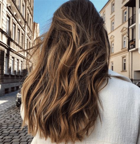 Transparent Abgeschafft Schicksalhaft Braune Haare Mit Blonden Str Hnen