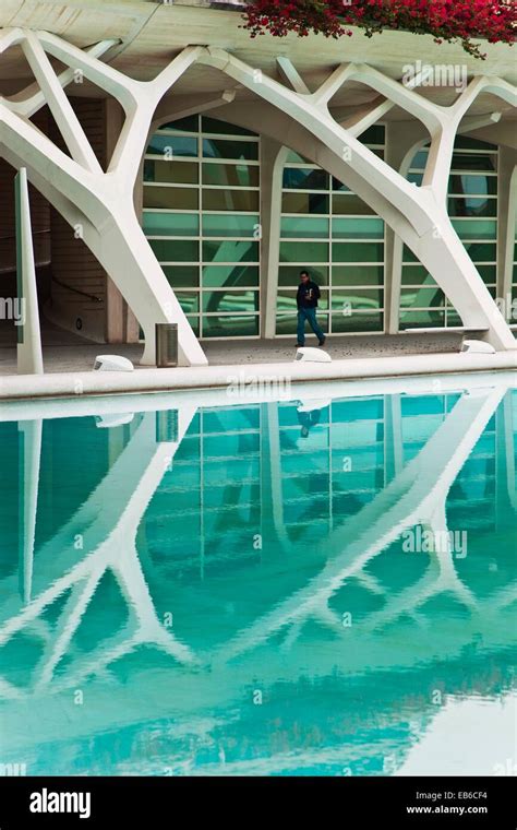 Ciudad De Las Artes Y Las Ciencias Los Arquitectos Santiago Calatrava Y