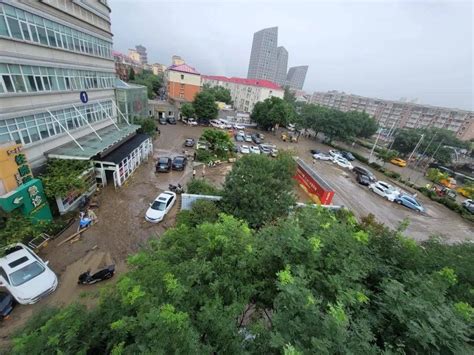 定海！神针！暴雨中降生的双胞胎有名字啦门头沟区医院鲁丽手术室