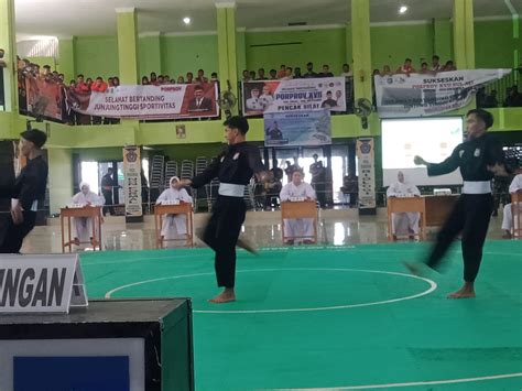 Tim Pencak Silat Makassar Sukses Peroleh Medali Emas Di Porprov Sulsel