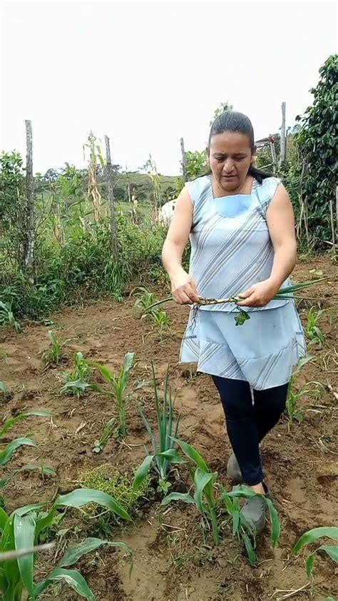 Moliendo ají en una piedra campo naturaleza gastronomia recetasfaciles