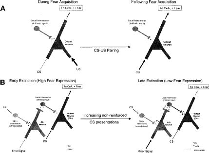 Pharmacological Treatments That Facilitate Extinction Of Fear