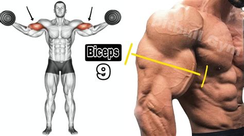 9 تمارين لعضلة ذات الرأسين تجعل العضلات ضخمة الدمبل فقط بدون آلات 9 Bicep Exercises Makes Huge