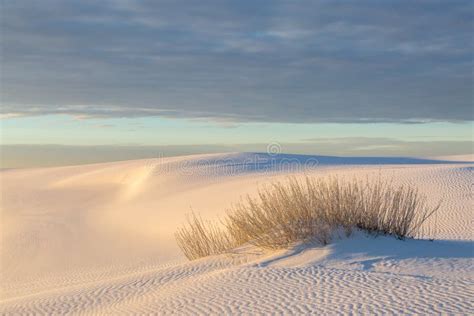 Desert Sunrise, New Mexico stock image. Image of field - 139320069