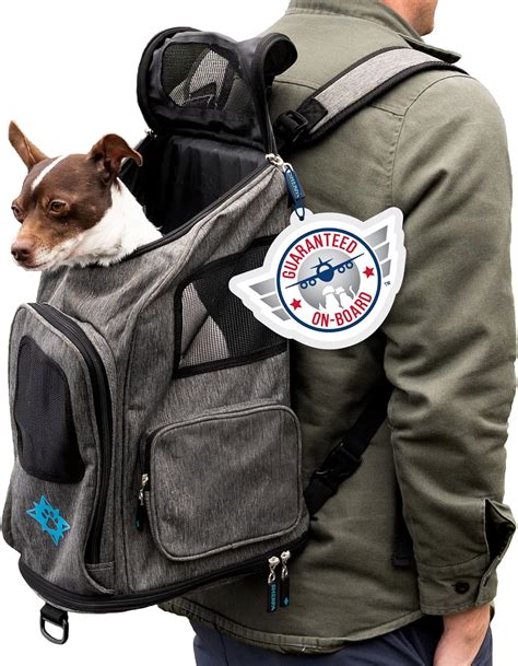 Amazon.com : Sherpa 2-in-1 Backpack Travel Pet Carrier, Airline ...