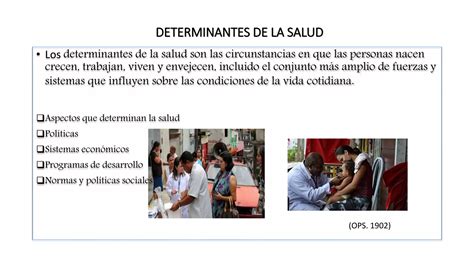 Detrminantes De La Salud Univim Ppt Descarga Gratuita