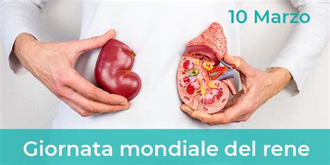 Giornata Mondiale Del Rene Domus Medica Centro Cure Specialistiche