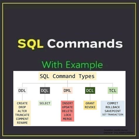 solution types  sql commands  examples studypool