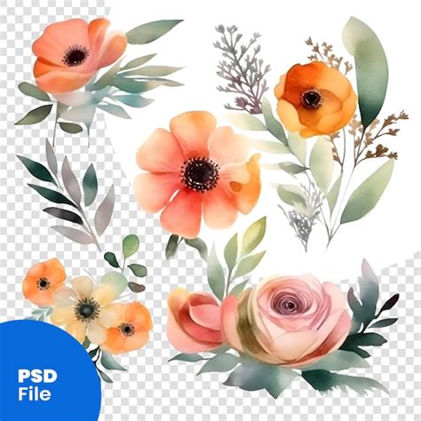 Conjunto Floral De Aquarela Flores E Folhas Pintadas M O Isoladas Em