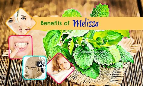 38 Proven Benefits Of Melissa Herb And Oil For Skin And Health