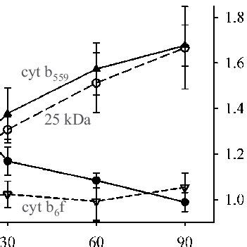 Compositional changes of isolated stroma lamellae induced by HL... | Download Scientific Diagram