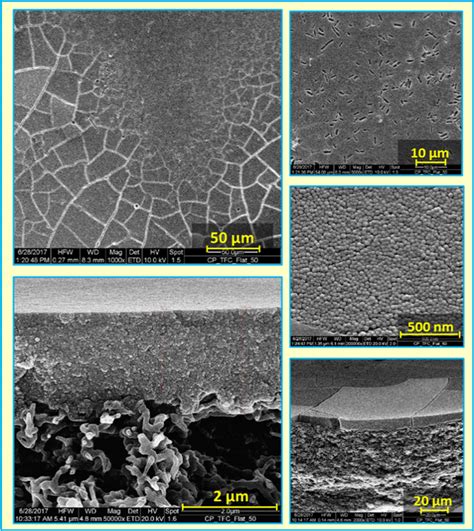 Sem Micrographs At Different Magnifications For Colloidal Silica Download Scientific Diagram