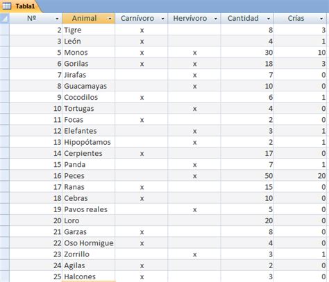 Ejemplo De Una Base De Datos